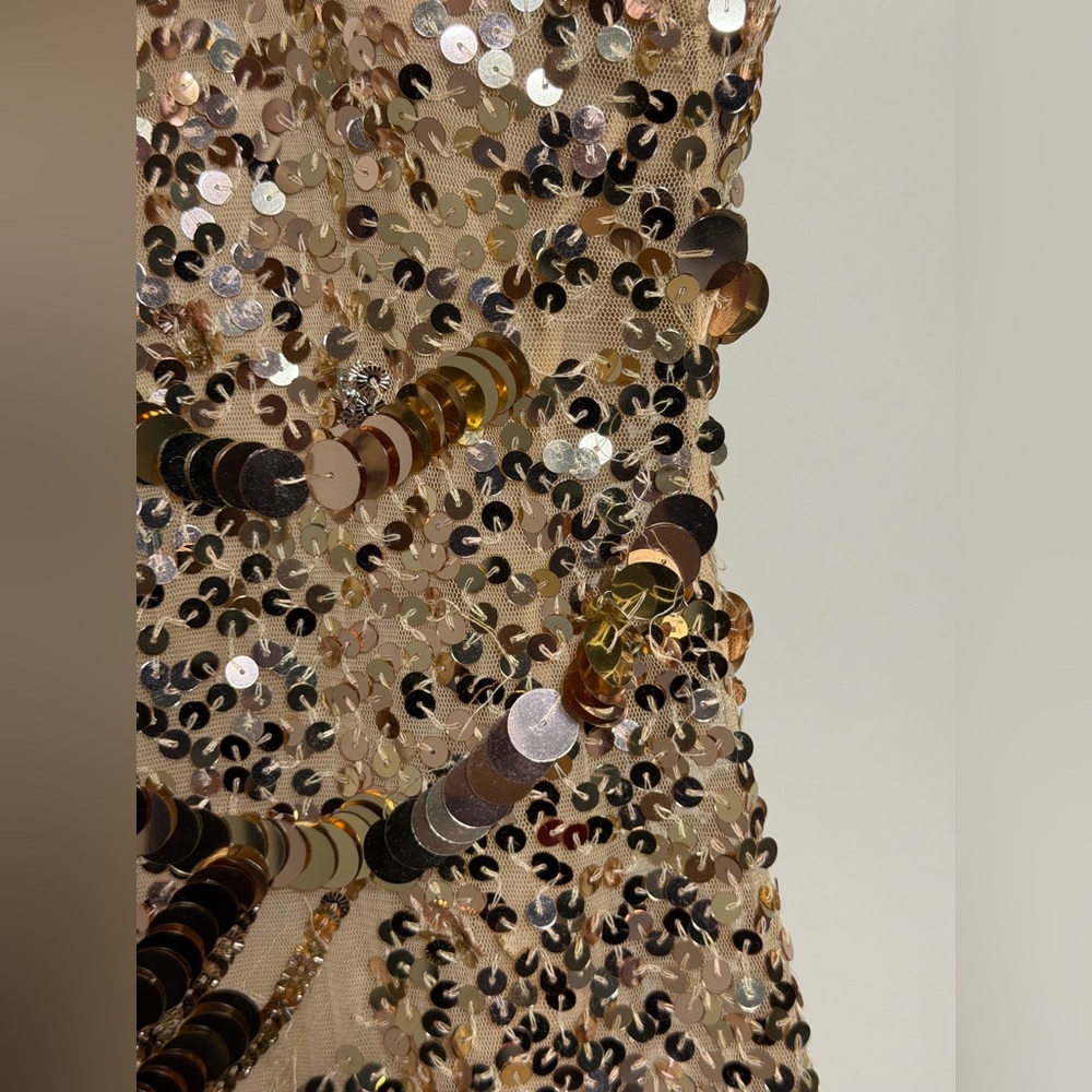LoveShackFancy Liria Sequin Mini Dress in Honey Shimmer size 6 - Picture 6 of 12
